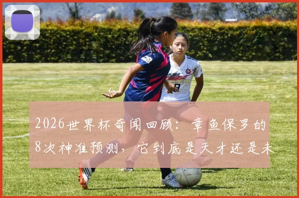 2026世界杯奇闻回顾:章鱼保罗的8次神准预测,它到底是天才还是未解之谜?